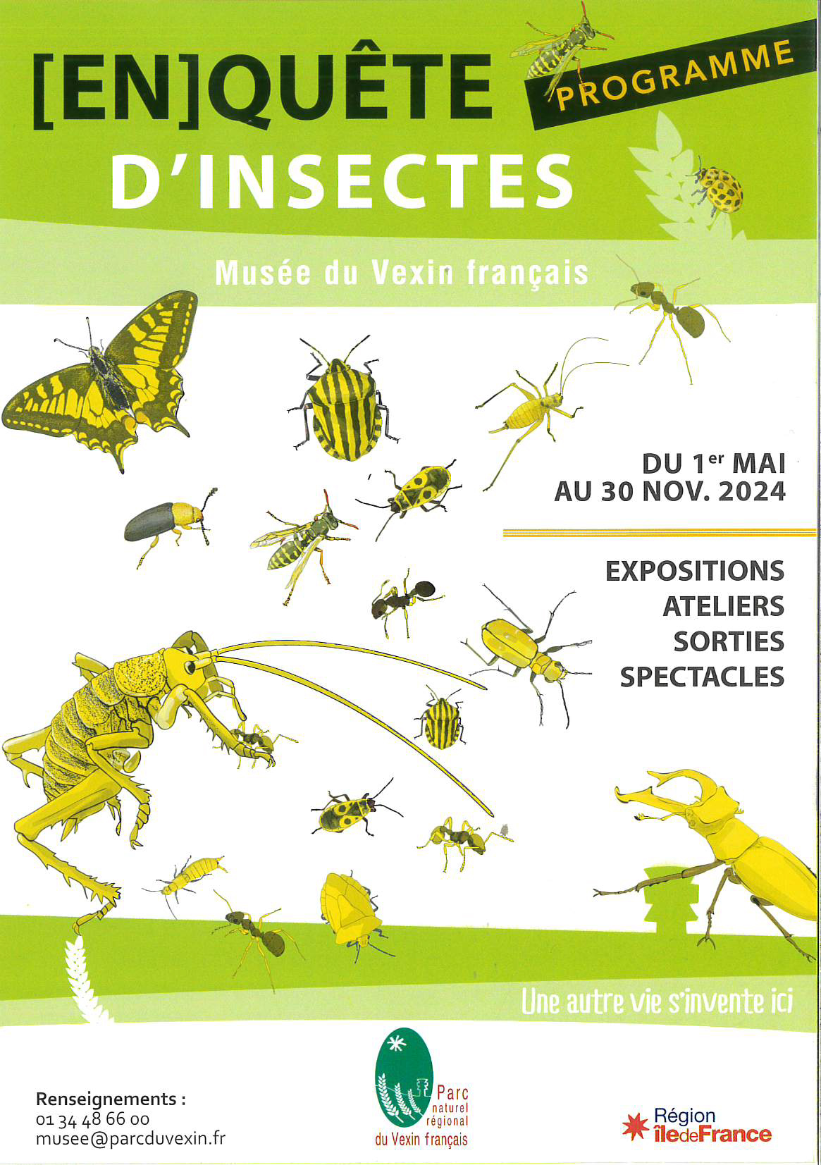 Enquête d'insectes au Parc du Vexin