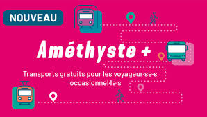 Avis aux Usagers du Transport à la Demande (TàD) : Votre Opinion Compte !