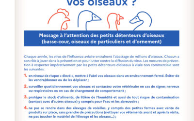 Lutte contre l’influenza aviaire